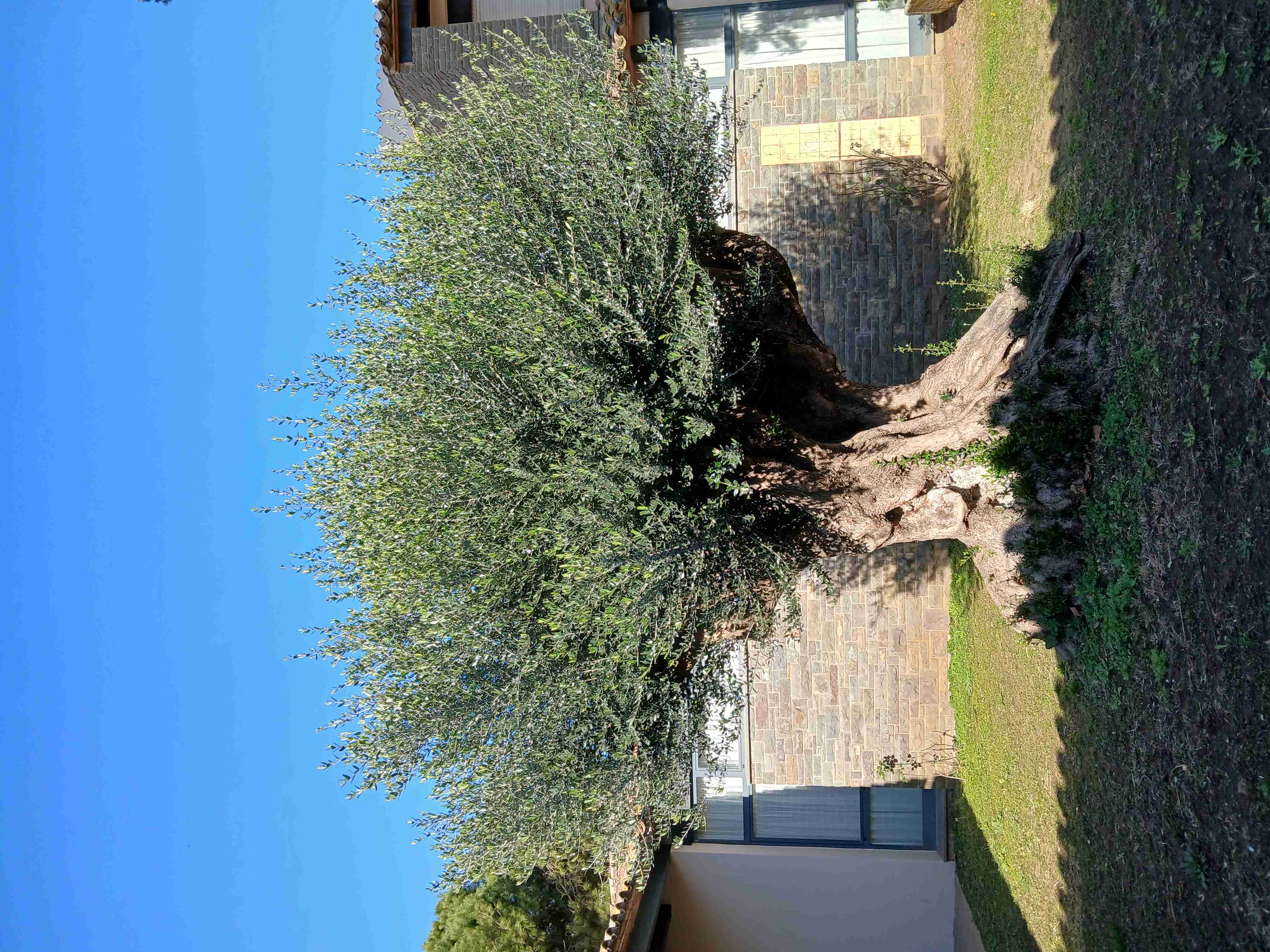 No s'ha trobat l'arxiu